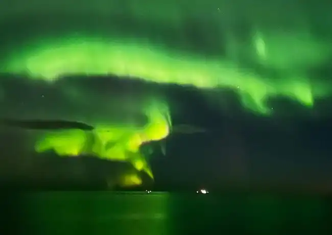 Northern Lights: 2-Hr Boat Tour + Alternative Bus Tour, Reykjavík, Iceland, Reykjavik Tickets.