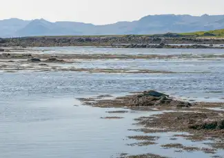 Snaefellsnes : Tour de la péninsule depuis Reykjavík, Reykjavik, Islande, Reykjavik Tickets.