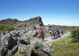 Horseback Riding with Icelandic Horses through the Lava Fields of Hafnarfjörður, Reykjavík, Iceland, Reykjavik Tickets.