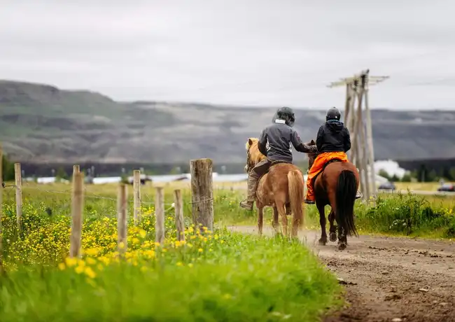 Iceland: Horseback Riding - Countryside Tour, Reykjavík, Iceland, Reykjavik Tickets.