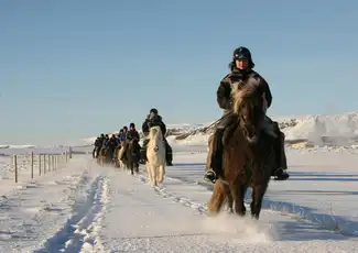 Iceland: Horseback Riding - Countryside Tour, Reykjavík, Iceland, Reykjavik Tickets.
