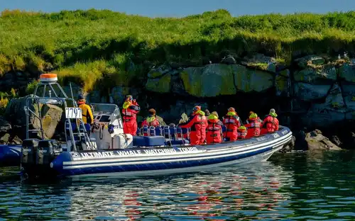 Iceland: Premium Puffin Tour From Reykjavík, Reykjavík, Iceland, Reykjavik Tickets. Iceland: Premium Puffin Tour From Reykjavík, Reykjavík, Iceland, Reykjavik Tickets.