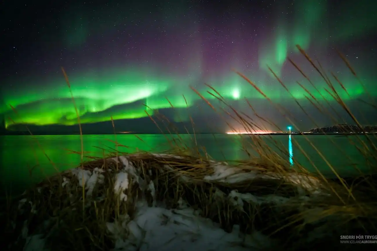 Northern Lights: 3-Hr Bus Tour + Audio Guide, Reykjavík, Iceland, Reykjavik Tickets.