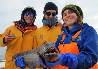 Reykjavik: Sea Fishing Boat Trip, Reykjavík, Iceland, Reykjavik Tickets.