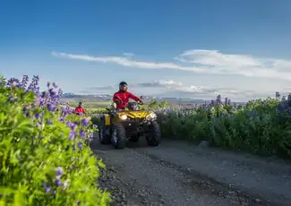 2-Hr Reykjavik Twin Peaks ATV Tour, Reykjavík, Iceland, Reykjavik Tickets.