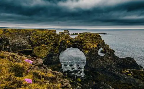 Snæfellsnes: Black Beach Day Trip + Dinner, Reykjavík, Iceland, Reykjavik Tickets.