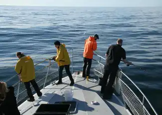 Mar de Reikiavik: Pesca con caña + Barbacoa, Reikiavik, Islandia, Reykjavik Tickets.