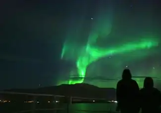 Northern Lights: 2-Hr Boat Tour + Alternative Bus Tour, Reykjavík, Iceland, Reykjavik Tickets.