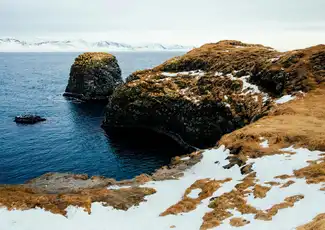 Snæfellsnes: Black Beach Day Trip + Dinner, Reykjavík, Iceland, Reykjavik Tickets.