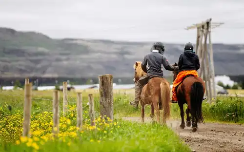 Iceland: Horseback Riding - Countryside Tour, Reykjavík, Iceland, Reykjavik Tickets.