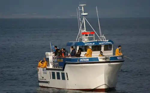 Reykjavik: Sea Fishing Boat Trip, Reykjavík, Iceland, Reykjavik Tickets.