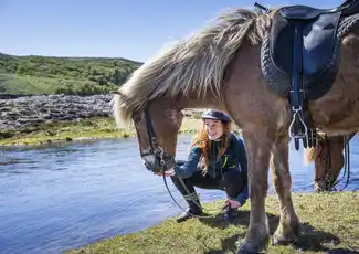 Horseback Riding with Icelandic Horses through the Lava Fields of Hafnarfjörður, Reykjavík, Iceland, Reykjavik Tickets.