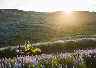 2-Hr Reykjavik Twin Peaks ATV Tour, Reykjavík, Iceland, Reykjavik Tickets.