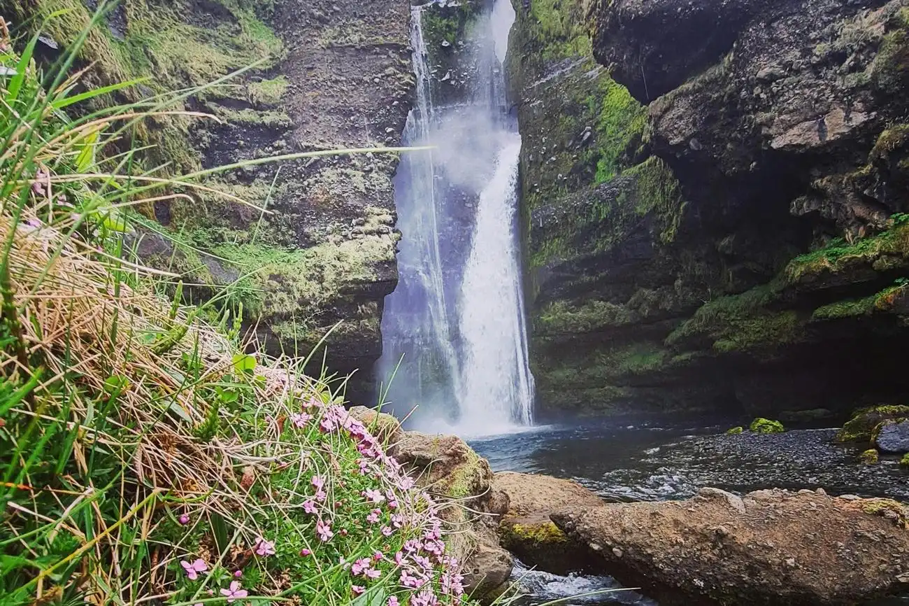 South Iceland: Waterfalls Exploration Guided Tour, Reykjavík, Iceland, Reykjavik Tickets.