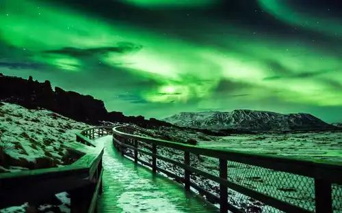 Reykjavík: Northern Lights Bus Tour, Reykjavík, Iceland, Reykjavik Tickets.
