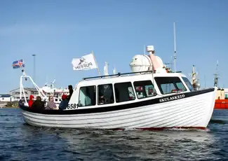 Reykjavik: Whale Watching & Puffin Tour, Reykjavík, Iceland, Reykjavik Tickets.