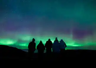 Reykjavík: Small-Group Northern Lights Tour, Reykjavík, Iceland, Reykjavik Tickets.