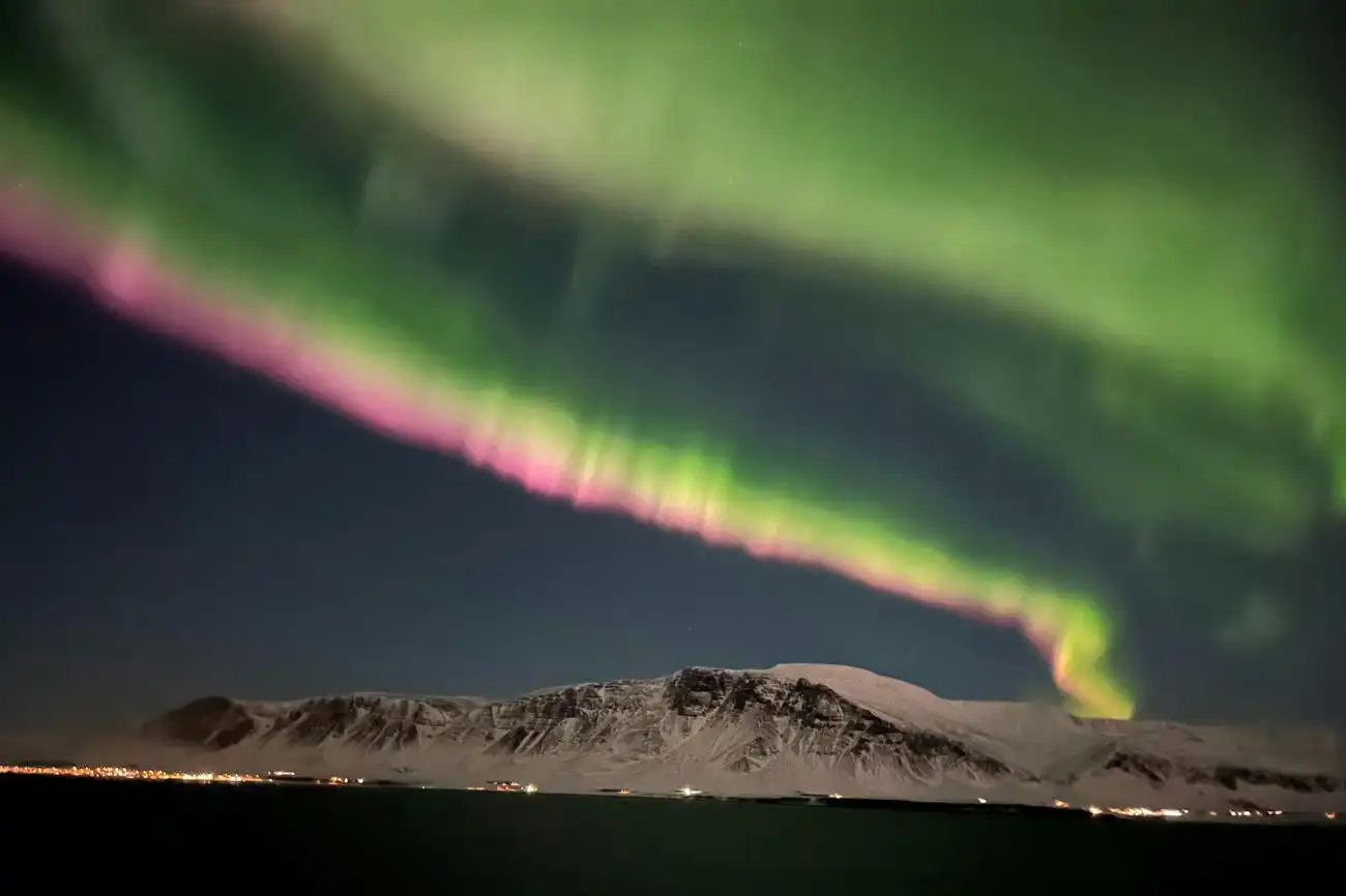 Reykjavik: Whale Watching & Northern Lights Combo Cruise, Reykjavík, Iceland, Reykjavik Tickets.