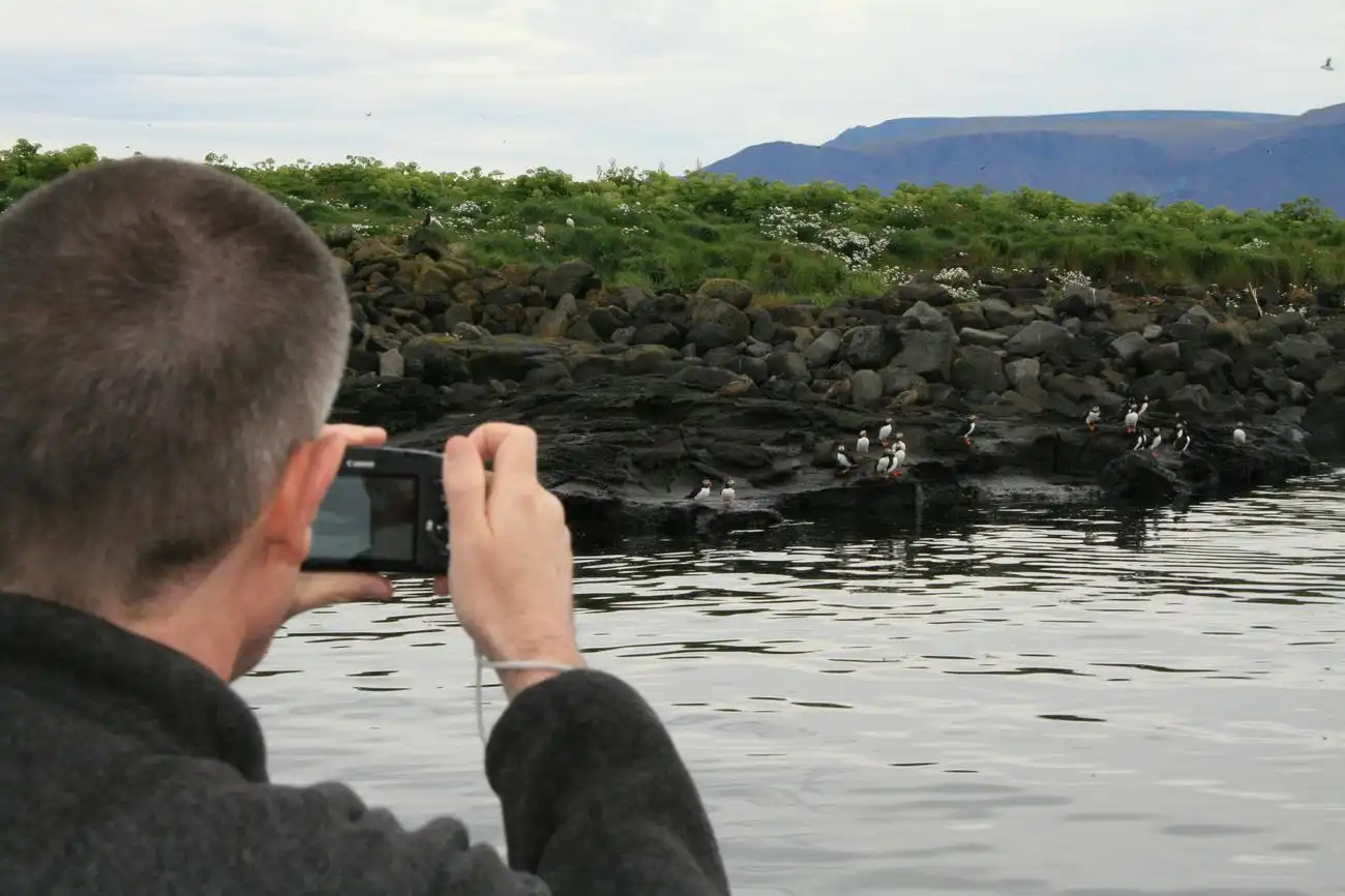 Reykjavik: Puffin Watching Express, Reykjavík, Iceland, Reykjavik Tickets.