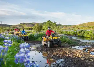 1-Hr Reykjavik Peak ATV Tour, Reykjavík, Iceland, Reykjavik Tickets.