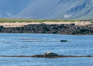 Snaefellsnes : Tour de la péninsule depuis Reykjavík, Reykjavik, Islande, Reykjavik Tickets.