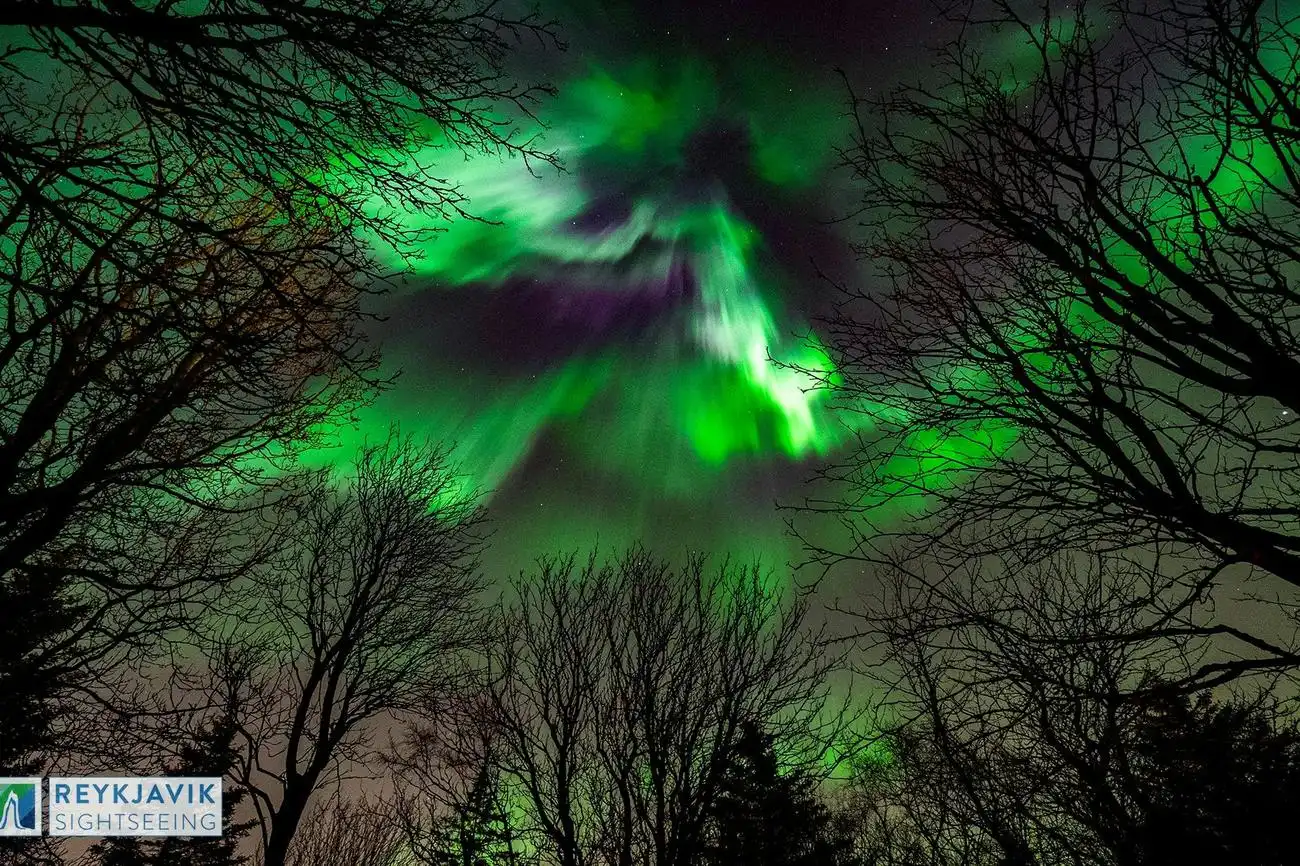 Northern Lights: 3-Hr Bus Tour + Audio Guide, Reykjavík, Iceland, Reykjavik Tickets.