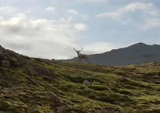 Vatnajökull Glacier: Super Jeep Tour, Höfn, Iceland, Reykjavik Tickets.