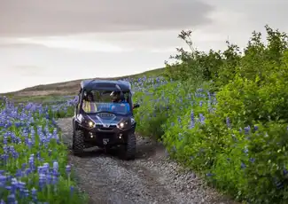 Reykjavik: 1-Hr Buggy Safari, Reykjavík, Iceland, Reykjavik Tickets. Reykjavik: 1-Hr Buggy Safari, Reykjavík, Iceland, Reykjavik Tickets.