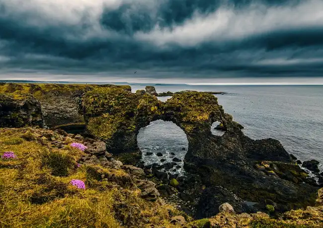 Snæfellsnes: Black Beach Day Trip + Dinner, Reykjavík, Iceland, Reykjavik Tickets.