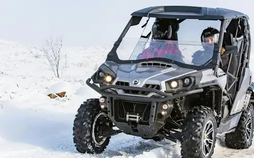 Reykjavik: 1-Hr Buggy Safari, Reykjavík, Iceland, Reykjavik Tickets.