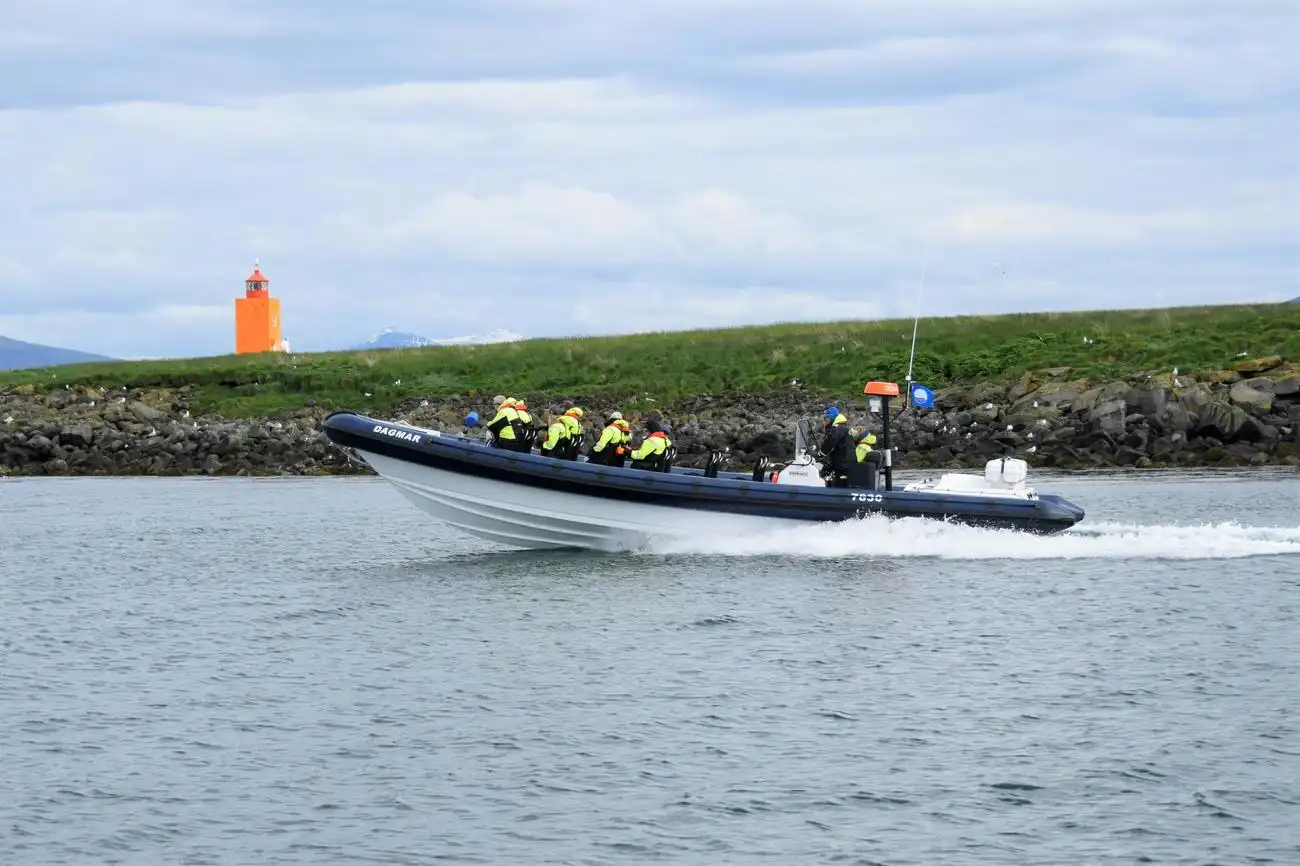 Whale Watching: Whales of Iceland Entry + RIB Boat Tour from Reykjavik, Reykjavík, Iceland, Reykjavik Tickets.