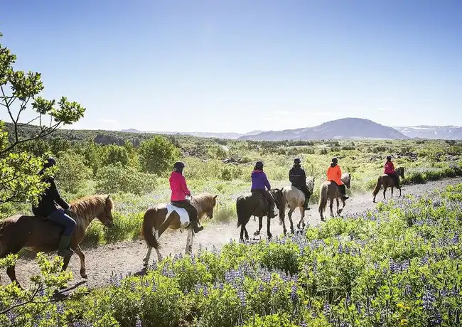 Horseback Riding with Icelandic Horses through the Lava Fields of Hafnarfjörður, Reykjavík, Iceland, Reykjavik Tickets.