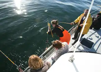 Mar de Reikiavik: Pesca con caña + Barbacoa, Reikiavik, Islandia, Reykjavik Tickets.