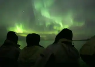 Northern Lights: 2-Hr Boat Tour + Alternative Bus Tour, Reykjavík, Iceland, Reykjavik Tickets.