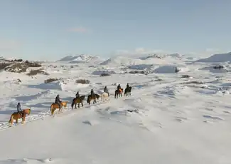 Horseback Riding with Icelandic Horses through the Lava Fields of Hafnarfjörður, Reykjavík, Iceland, Reykjavik Tickets.