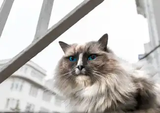 Reykjavik: Catwalk Tour, Reykjavík, Iceland, Reykjavik Tickets.