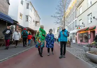 Reykjavik: Private Walking Tour, Reykjavík, Iceland, Reykjavik Tickets.
