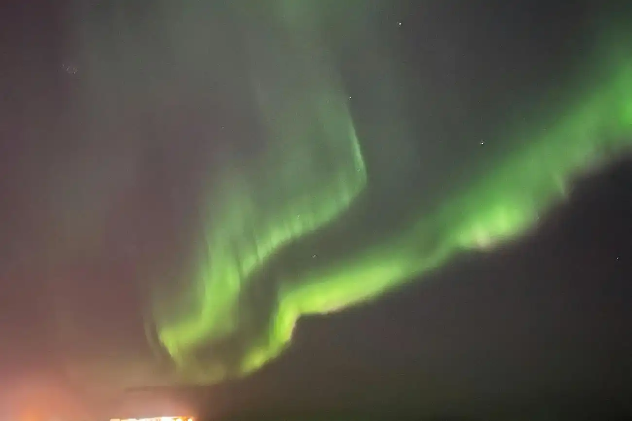Reykjavik: Whale Watching & Northern Lights Combo Cruise, Reykjavík, Iceland, Reykjavik Tickets.