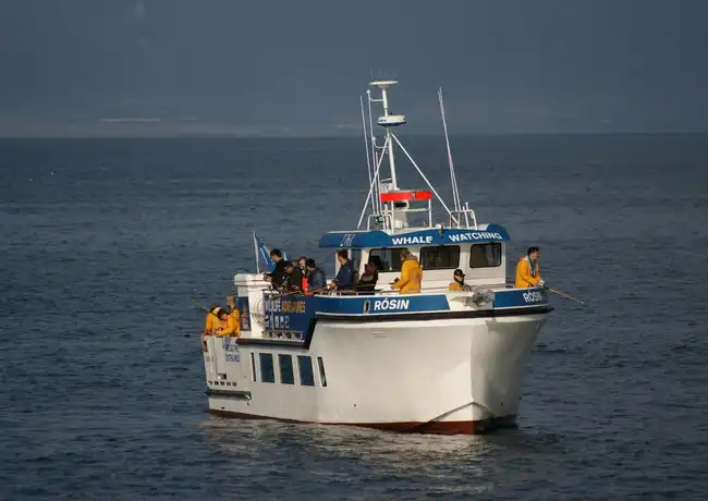 Reykjavik: Sea Fishing Boat Trip, Reykjavík, Iceland, Reykjavik Tickets.