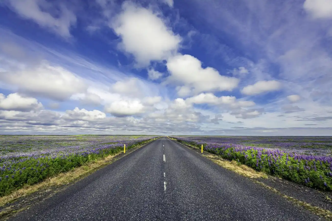 South Iceland: Bus Tour + Audio Guide, Reykjavík, Iceland, Reykjavik Tickets.