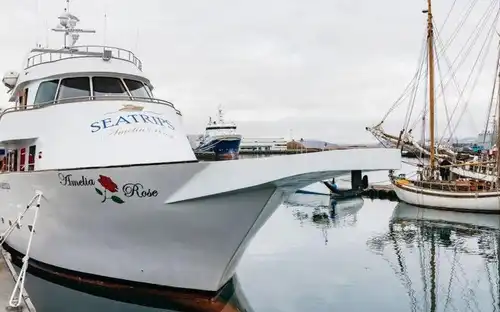 Reykjavík: Luxury Yacht Whale Watching Cruise, Reykjavík, Iceland, Reykjavik Tickets.