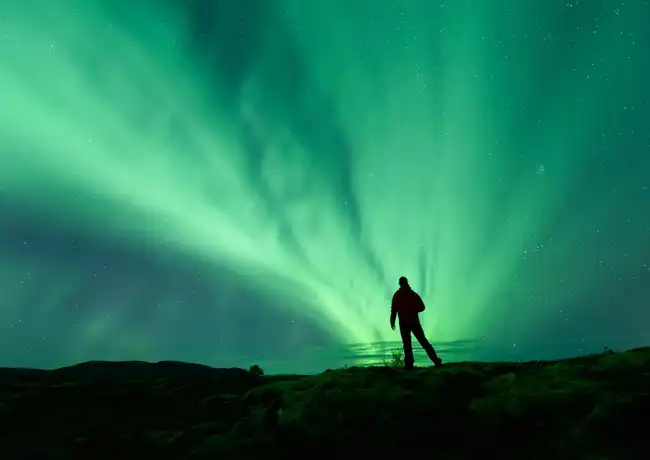 Aurora boreal: Excursão de ônibus para grupos pequenos de 3 horas + traslado, Reykjavík, Islândia, Reykjavik Tickets.