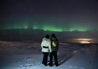 Reykjavík: Northern Lights Bus Tour, Reykjavík, Iceland, Reykjavik Tickets.