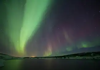 Northern Lights: 3-Hr Bus Tour + Transfer, Reykjavík, Iceland, Reykjavik Tickets.
