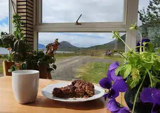 Dynjandi waterval en boerderij: Tour vanuit de haven van Ísafjörður, Reykjavik, IJsland, Reykjavik Tickets.