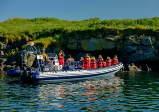 Whale Watching: Tour with Puffins Watching from Reykjavik, Reykjavík, Iceland, Reykjavik Tickets.