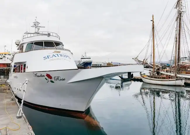 Reykjavík: Luxury Yacht Whale Watching Cruise, Reykjavík, Iceland, Reykjavik Tickets.